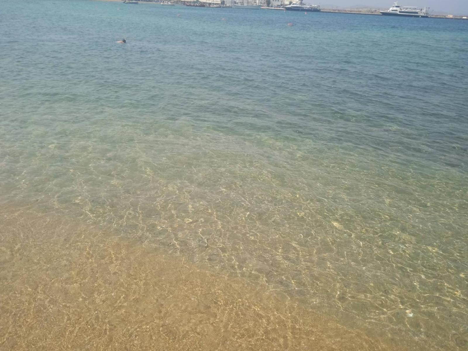 Anemones Sea View Διαμέρισμα Mykonos Town Εξωτερικό φωτογραφία